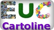 EUC CARTOLINE